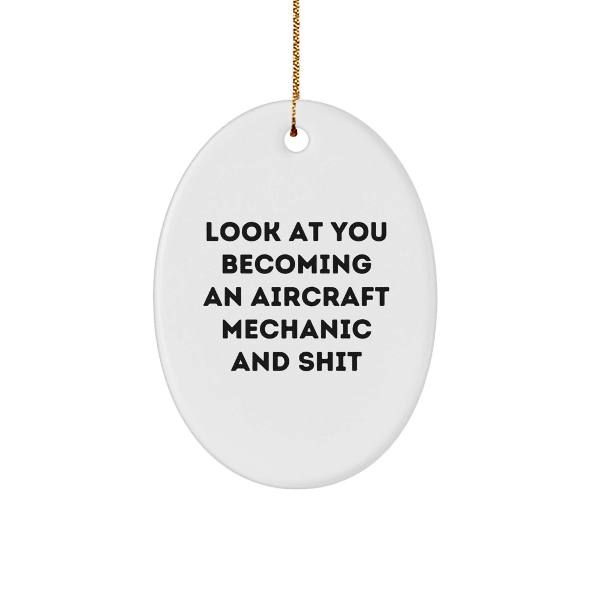 Aircraft Mechanic Oval Ornament Gifts from Friends and Family for Christmas Unique Gifts - Image 1