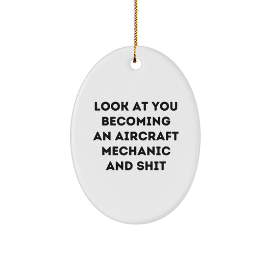 Aircraft Mechanic Oval Ornament Gifts from Friends and Family for Christmas Unique Gifts - Image 1
